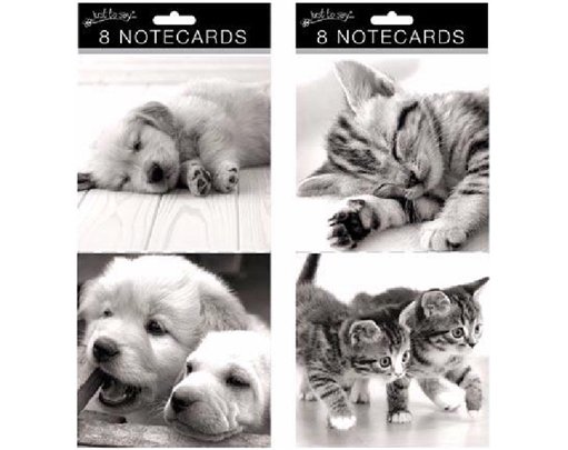 (8) CATS & DOGS LARGE SQ NOTE CARDS