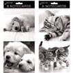 (8) CATS & DOGS LARGE SQ NOTE CARDS