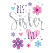 C50 SISTER WORDPLAY  6S