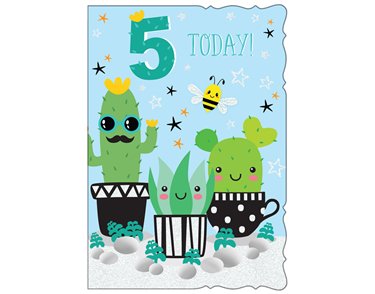 C50 AGE 5 BOY E/DAY  6S