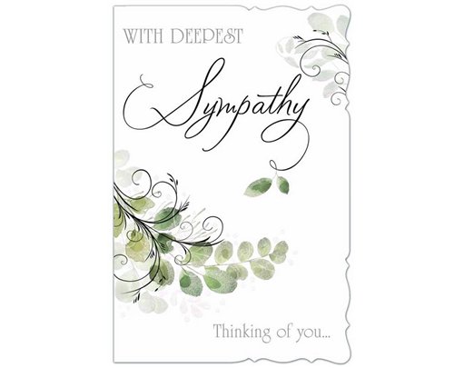 C75 SYMPATHY E/DAY  6S