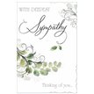 C75 SYMPATHY E/DAY  6S