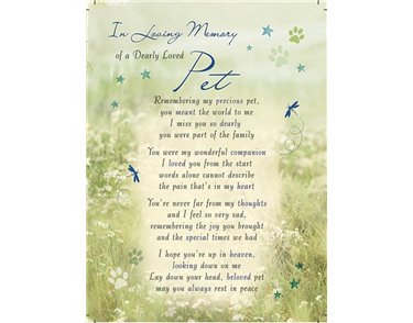 C35 LOVING MEMORY OF PET GRAVESIDE CARD  6S