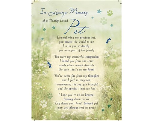 C35 LOVING MEMORY OF PET GRAVESIDE CARD  6S