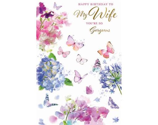 C50 WIFE ELVIN E/DAY  6S