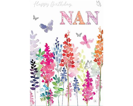 C50 NAN ELVIN E/DAY  6S