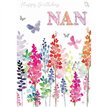 C50 NAN ELVIN E/DAY  6S