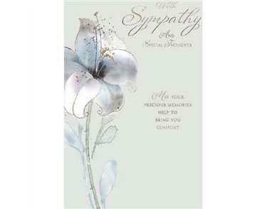 C50 SYMPATHY ELVIN E/DAY  6S