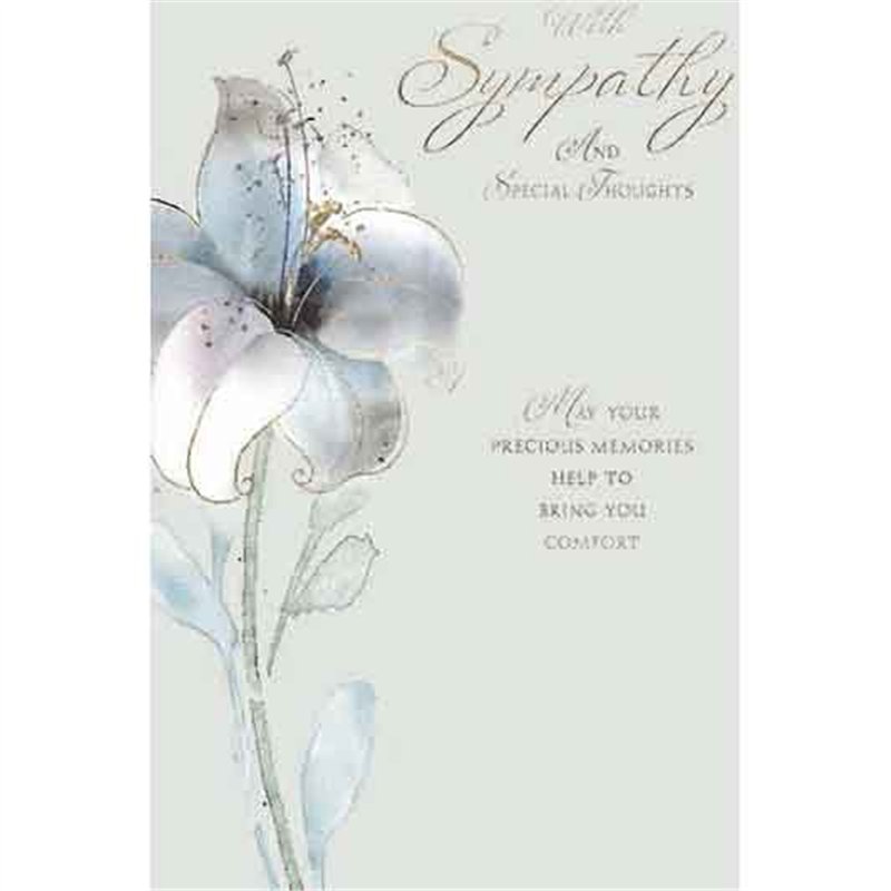 C50 SYMPATHY ELVIN E/DAY  6S