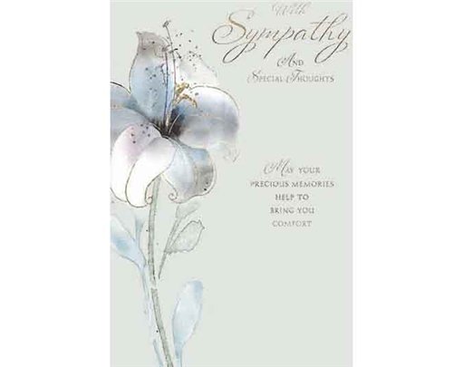 C50 SYMPATHY ELVIN E/DAY  6S