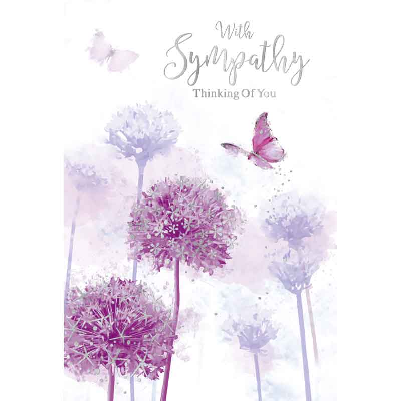 C50 SYMPATHY ELVIN E/DAY  6S