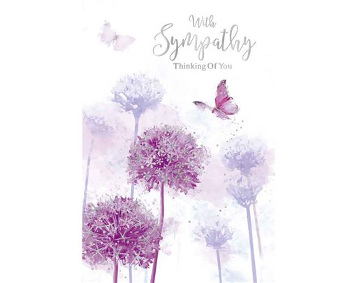 C50 SYMPATHY ELVIN E/DAY  6S