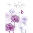 C50 SYMPATHY ELVIN E/DAY  6S