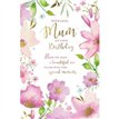 C75 MUM ELVIN E/DAY  6S