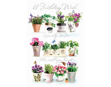 C75 OPEN BIRTHDAY (F) ELVIN E/DAY  6S