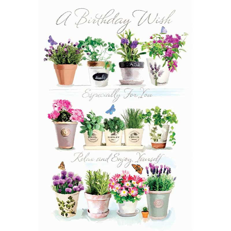 C75 OPEN BIRTHDAY (F) ELVIN E/DAY  6S