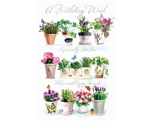 C75 OPEN BIRTHDAY (F) ELVIN E/DAY  6S