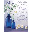 C50 SYMPATHY MUM SPEC THOUGHTS 6S
