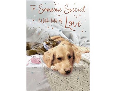 C75 SOMEONE SPECIAL BIRTHDAY SPECIAL THOUGHTS 6S