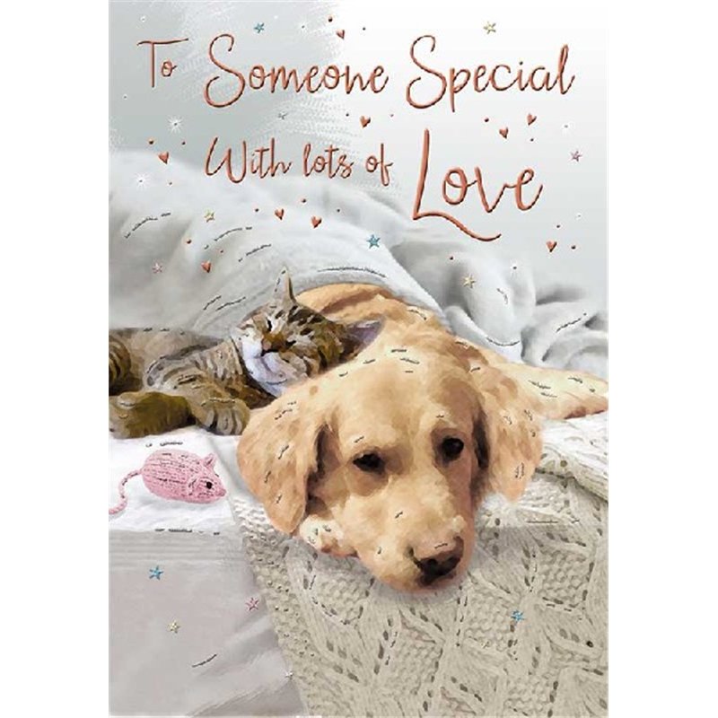 C75 SOMEONE SPECIAL BIRTHDAY SPECIAL THOUGHTS 6S