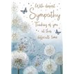 C75 SYMPATHY SPECIAL THOUGHTS  6S