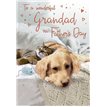 C75 GRANDAD REGAL FATHERS DAY 6S