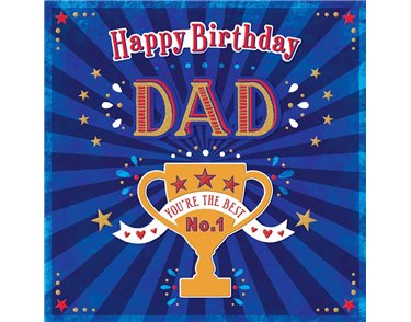 31cm SQ DAD BIRTHDAY BOXED CARD 3S