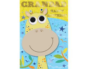 GRANDAD JUV BOY SILVERLINE E/DAY 12S