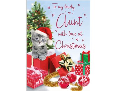 C75 AUNT SPECIAL THOUGHTS XMAS 6S