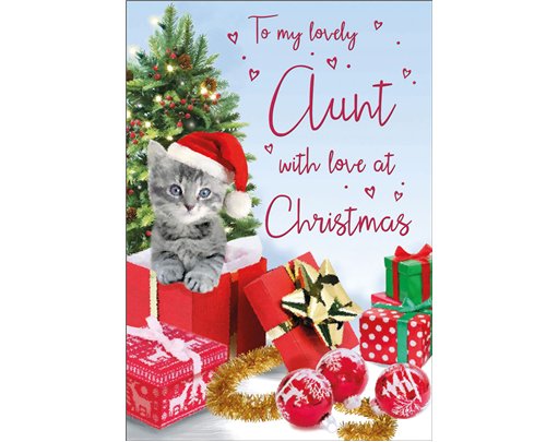 C75 AUNT SPECIAL THOUGHTS XMAS 6S
