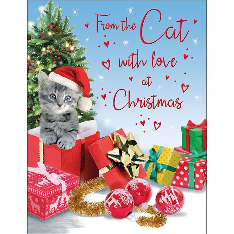 C50 FROM THE CAT SPECIAL THOUGHTS XMAS 6S