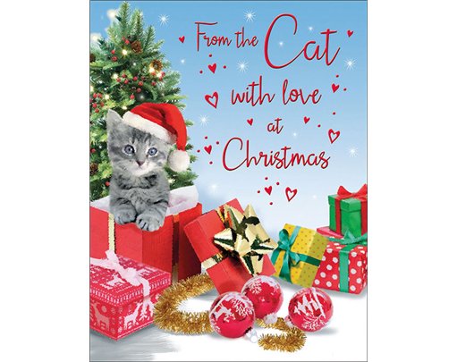 C50 FROM THE CAT SPECIAL THOUGHTS XMAS 6S