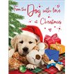 C50 FROM THE DOG SPECIAL THOUGHTS XMAS 6S