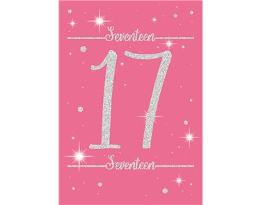 AGE 17 FT SILVERLINE E/DAY 12S