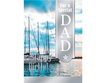 C50 DAD MT SILVERLINE E/DAY 12S