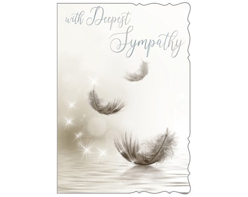 C50 SYMPATHY REFLECTIVE THOUGHTS 6S