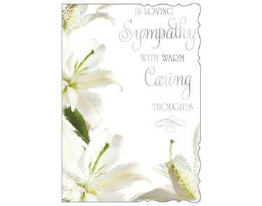 C50 SYMPATHY REFLECTIVE THOUGHTS 6S