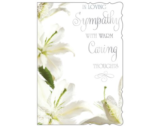 C50 SYMPATHY REFLECTIVE THOUGHTS 6S