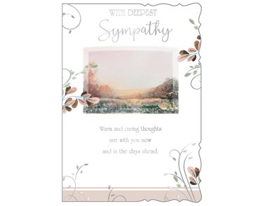 C50 SYMPATHY REFLECTIVE THOUGHTS 6S