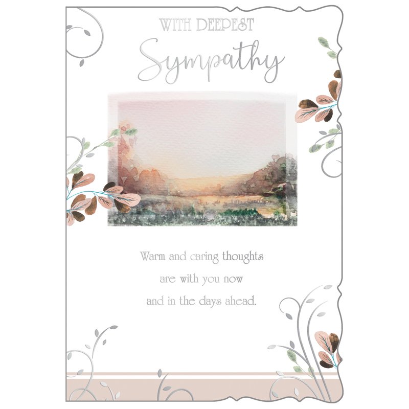 C50 SYMPATHY REFLECTIVE THOUGHTS 6S