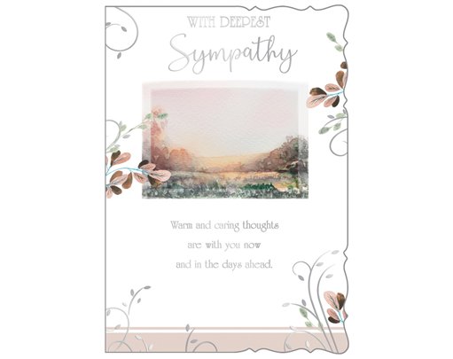 C50 SYMPATHY REFLECTIVE THOUGHTS 6S