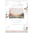 C50 SYMPATHY REFLECTIVE THOUGHTS 6S