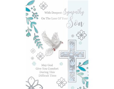 C50 LOSS OF SON MT SILVERLINE E/DAY 12S