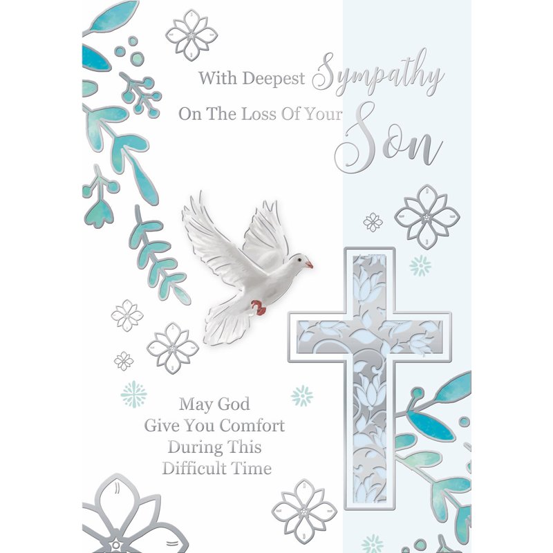 C50 LOSS OF SON MT SILVERLINE E/DAY 12S
