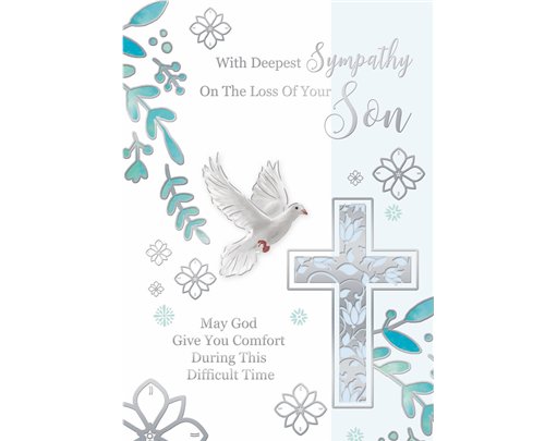 C50 LOSS OF SON MT SILVERLINE E/DAY 12S