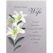 C50 SYMPATHY WIFE ETERNAL 6S