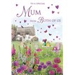 C75 MUM FROM BOTH OF US MOTHER'S DAY 6S