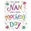 C50 NAN MOTHER'S DAY 6S