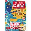 C50 GRANDAD JUV BOY SILVERLINE E/DAY 12S
