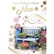 C50 NAN BIRTHDAY SILVERLINE 12S